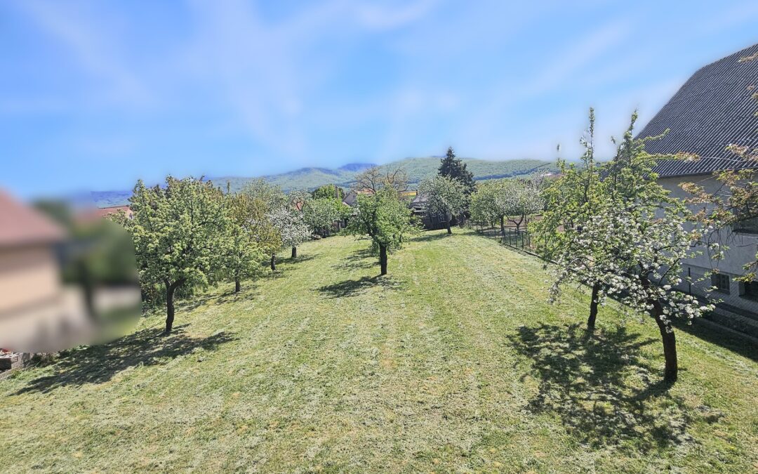EXKLUZÍVNE – PREDAJ –  POZEMOK  ČEREŇANY/ul. TICHÁ   – 991 m2